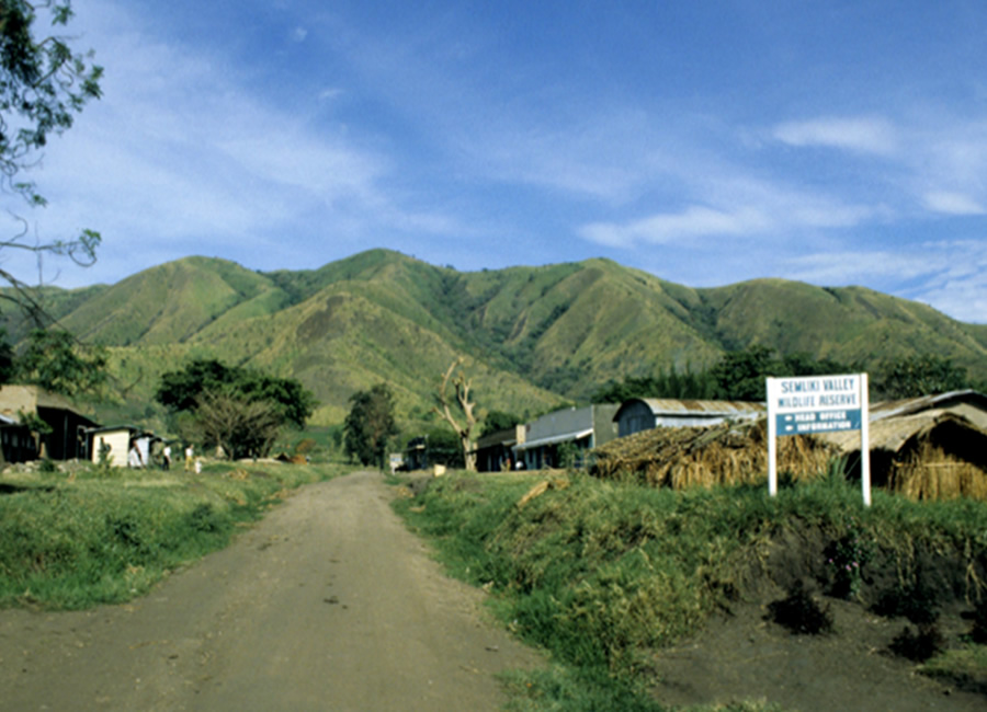 Visit the Rwenzori Mountains National Park