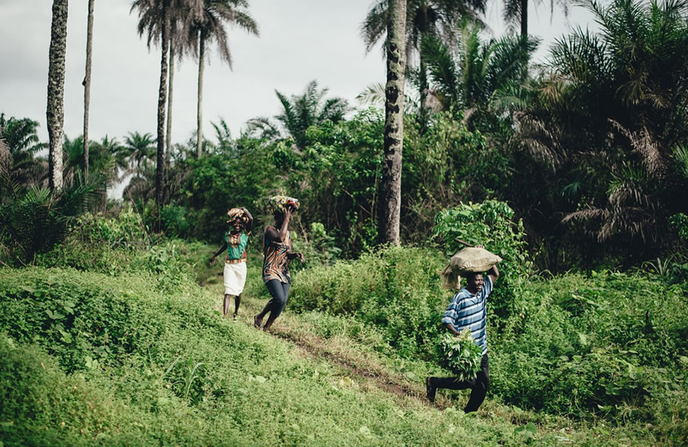 How To Experience Africa Mindfully in 2025